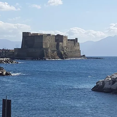 Carolina Plebiscito R. Napels