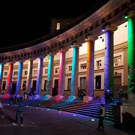 Carolina Plebiscito R. Napels