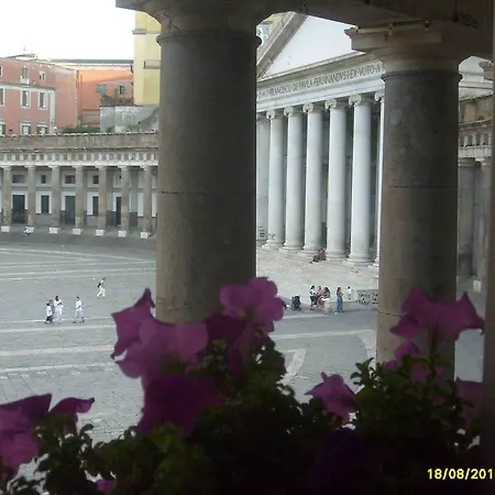 Carolina Plebiscito R. Napels