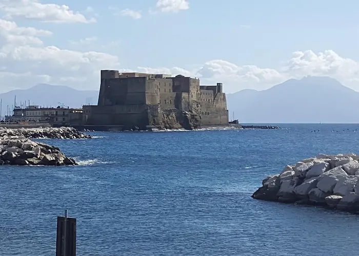 Carolina Plebiscito R. Naples