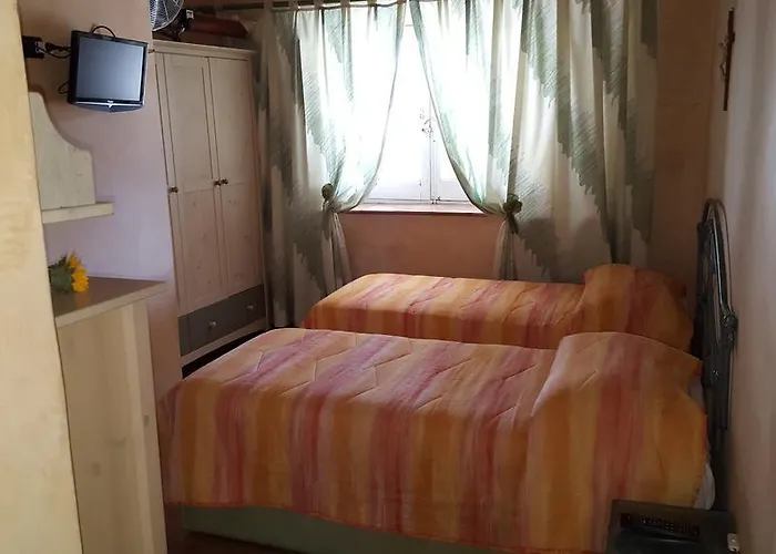 Carolina Plebiscito R.